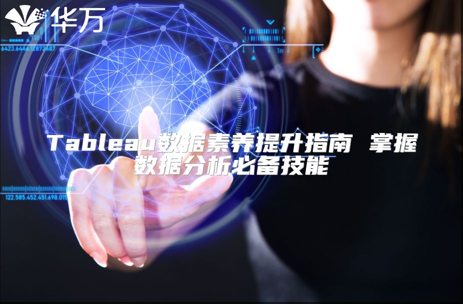 Tableau数据素养提升指南 掌握数据分析必备技能