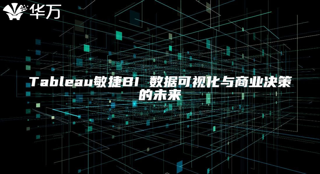 Tableau敏捷BI 数据可视化与商业决策的未来