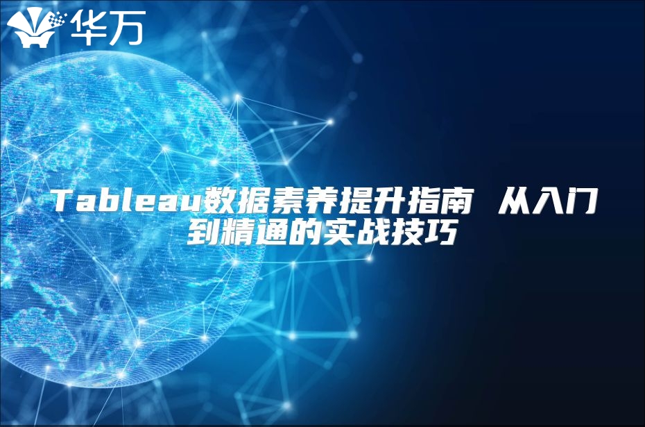 Tableau数据素养提升指南 从入门到精通的实战技巧