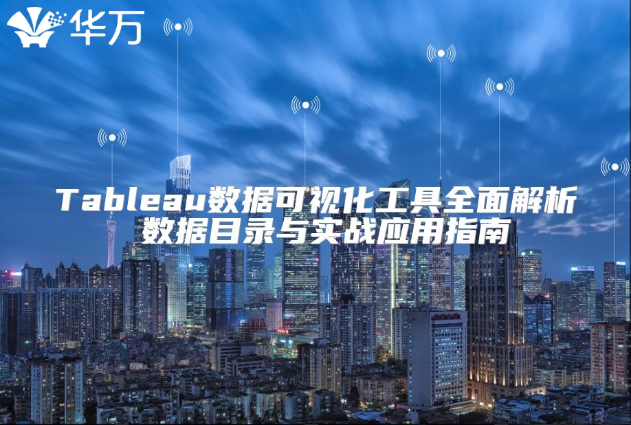 Tableau数据可视化工具全面解析 数据目录与实战应用指南