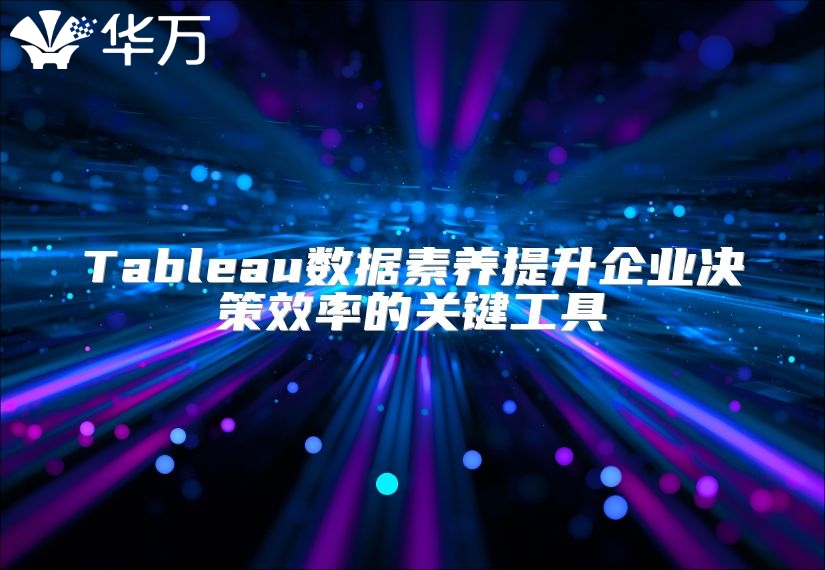Tableau数据素养提升企业决策效率的关键工具