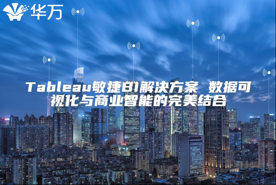 Tableau敏捷BI解决方案 数据可视化与商业智能的完美结合