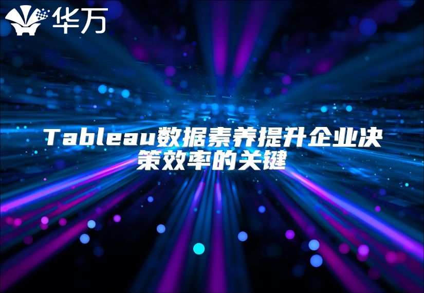 Tableau数据素养提升企业决策效率的关键