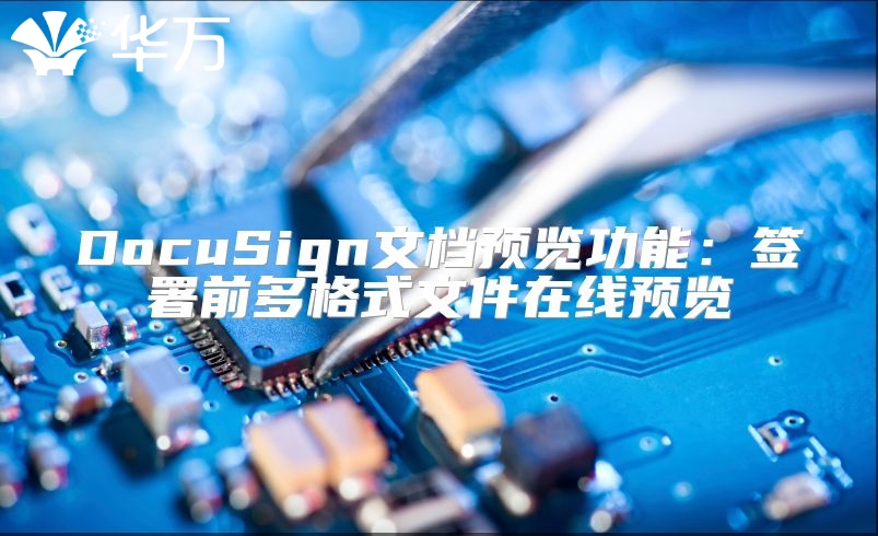 DocuSign文档预览功能：签署前多格式文件在线预览