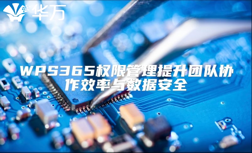 WPS365权限管理提升团队协作效率与数据安全
