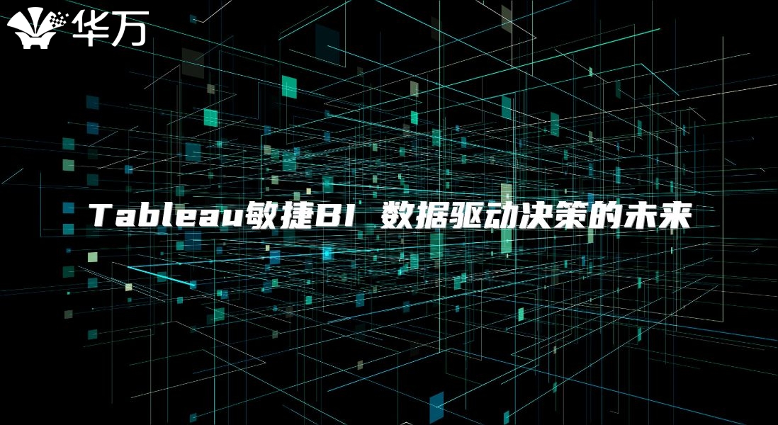 Tableau敏捷BI 数据驱动决策的未来