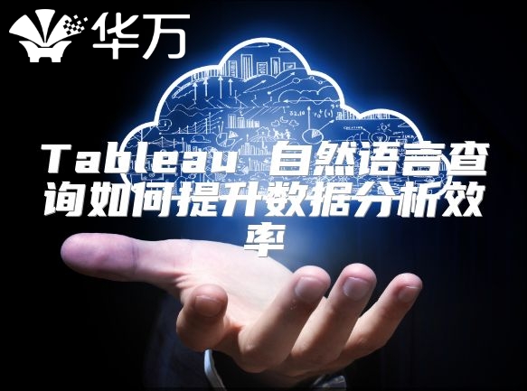 Tableau 自然语言查询如何提升数据分析效率