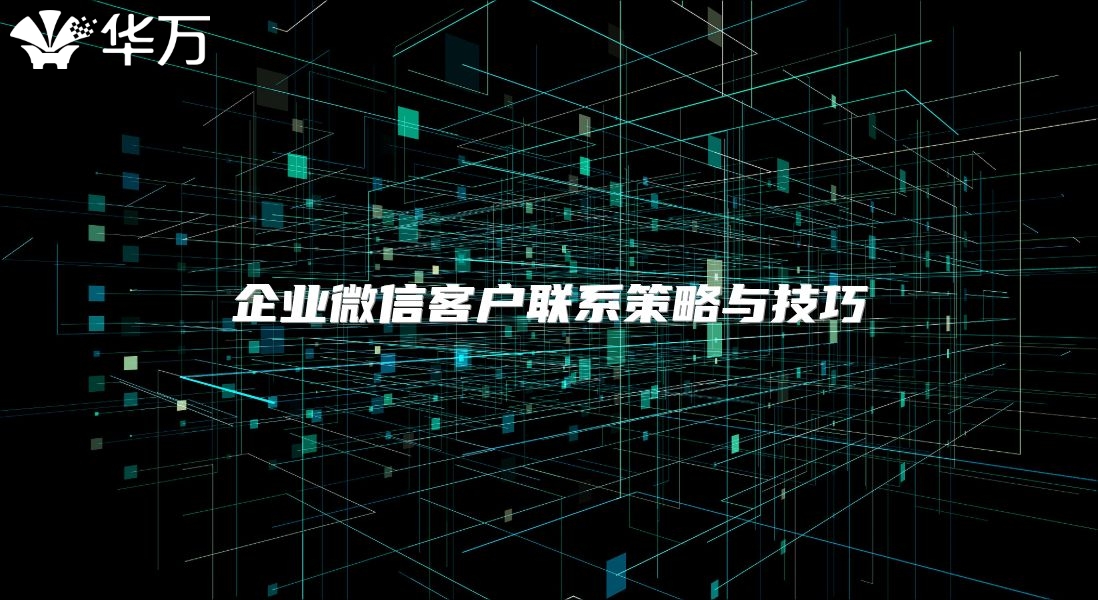 企业微信客户联系策略与技巧