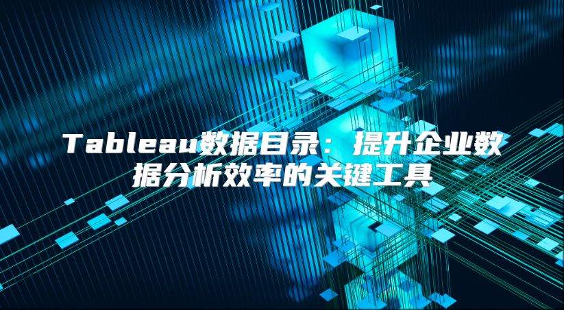 Tableau数据目录：提升企业数据分析效率的关键工具