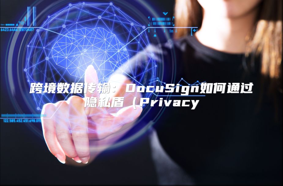 跨境数据传输：DocuSign如何通过隐私盾（Privacy