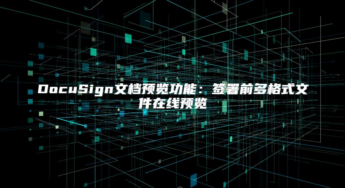 DocuSign文档预览功能：签署前多格式文件在线预览