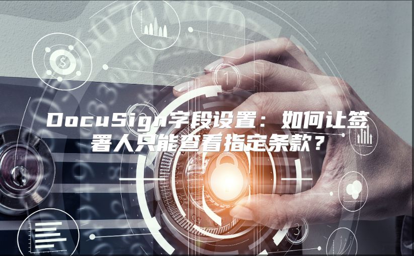 DocuSign字段设置：如何让签署人只能查看指定条款？