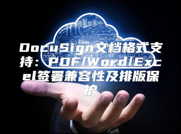 DocuSign文档格式支持：PDF/Word/Excel签署兼容性及排版?；? class=
