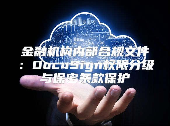 金融机构内部合规文件：DocuSign权限分级与保密条款?；? class=