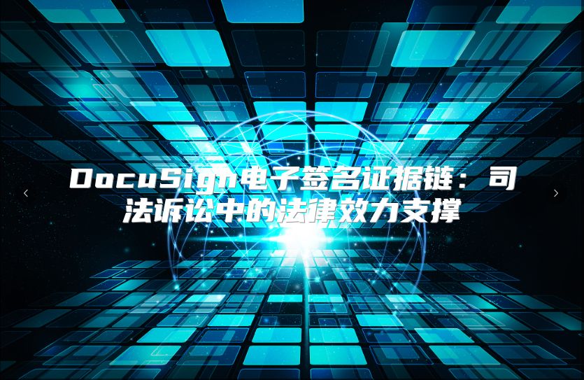 DocuSign电子签名证据链：司法诉讼中的法律效力支撑